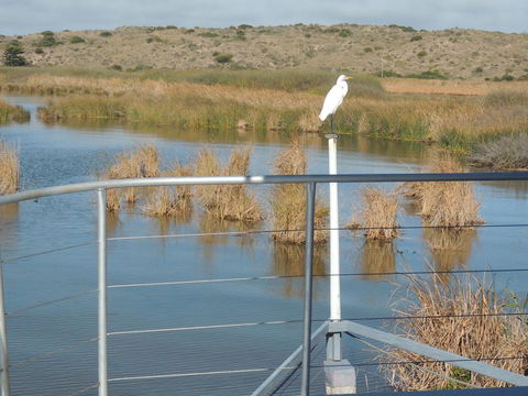 PS Federal Retreat Paddle Steamer Goolwa - Accommodation Asia 11