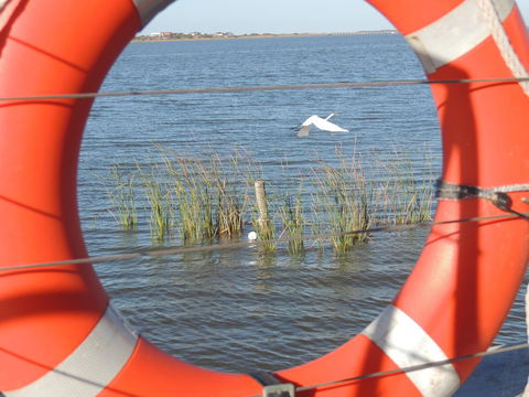 PS Federal Retreat Paddle Steamer Goolwa - Accommodation Asia 18