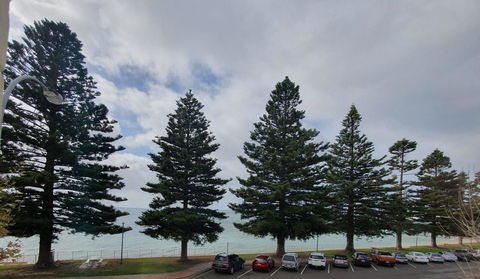 Pier Hotel Port Lincoln - Accommodation Asia 12