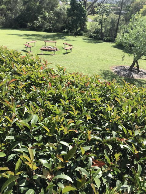 Avon View Stays Accommodation. - Accommodation Guide 10