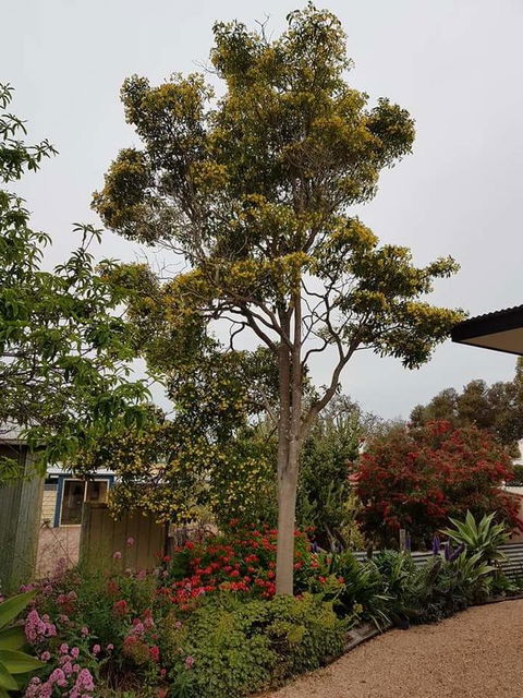 Sinclair Cottage - Accommodation Asia 25