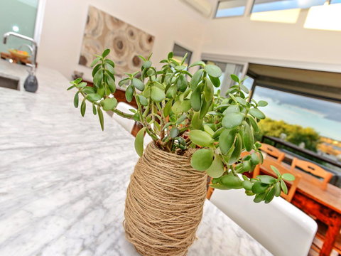 Muse On The Murray - Accommodation Asia 25