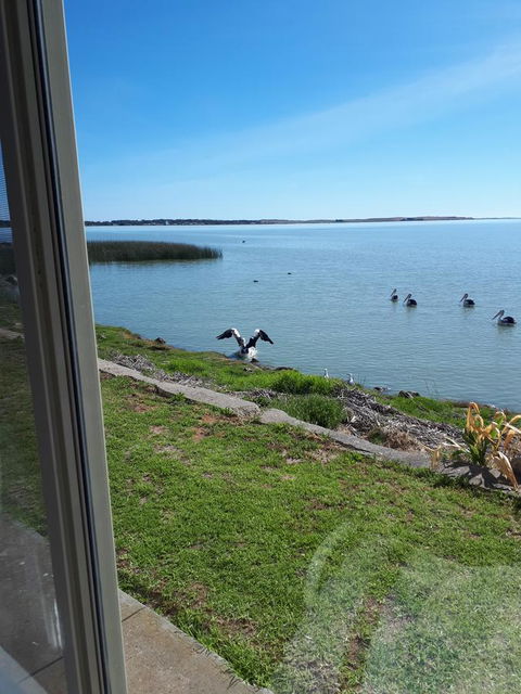 Meningie Waterfront Motel - Accommodation Asia 32