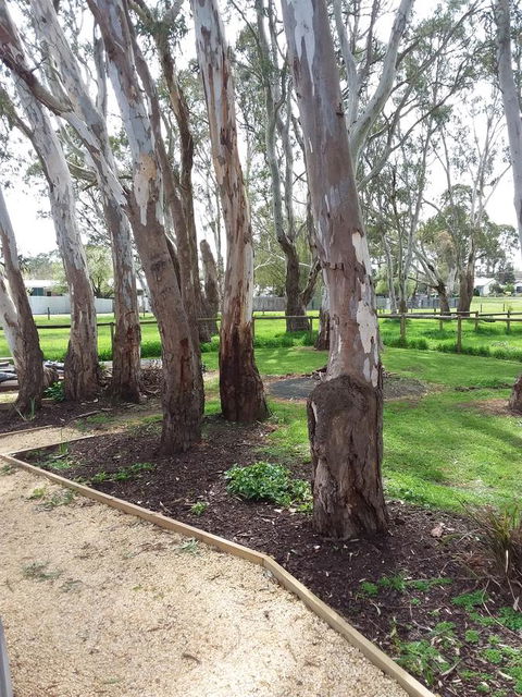 Cloisters Of Kalangadoo - Accommodation China 6