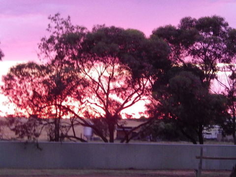 Wudinna Gawler Ranges Motel And Caravan Park - Accommodation Asia 11