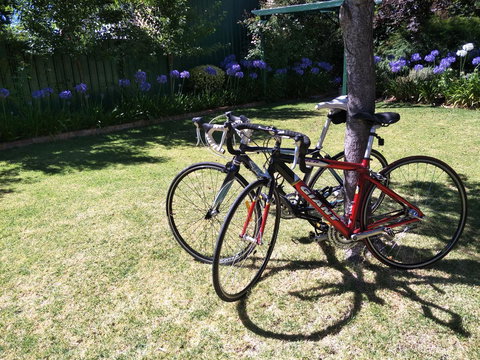 Fernweh Guesthouse - Accommodation Asia 25