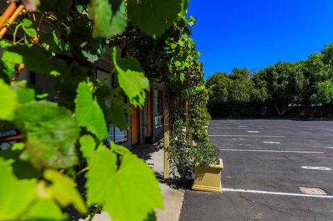 Country Roads Motor Inn Naracoorte - Accommodation Asia 16