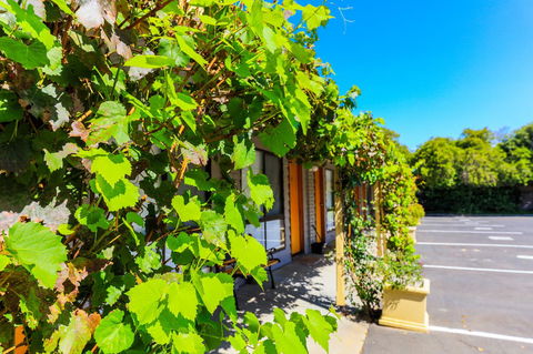 Country Roads Motor Inn Naracoorte - Accommodation Asia 18