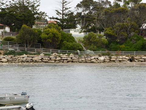 Island Motel Kingscote - Accommodation Guide 4