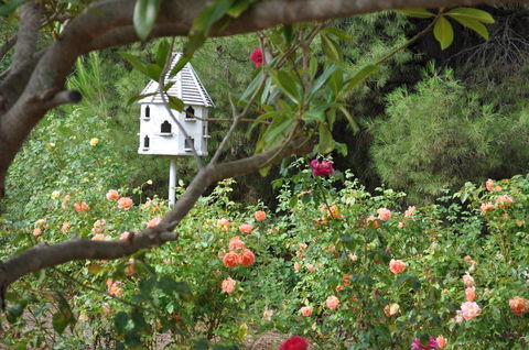 The Lyndoch Motel - Accommodation Asia 2