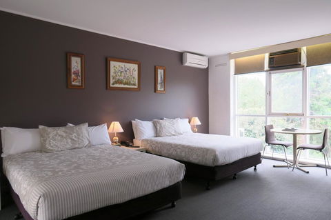 The Lyndoch Motel - Accommodation Asia 13
