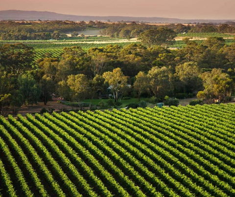 The Reserve Barossa Valley - Accommodation Asia 1