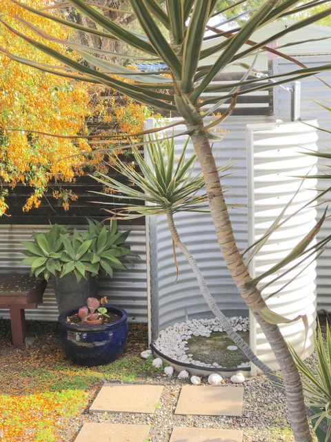Milly\'s Middleton - Pet-friendly - Accommodation Asia 23