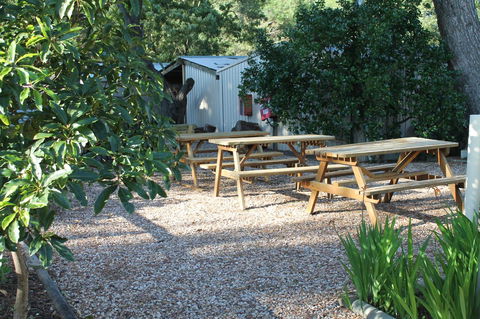 Millicent Hillview Caravan Park - Accommodation Asia 9