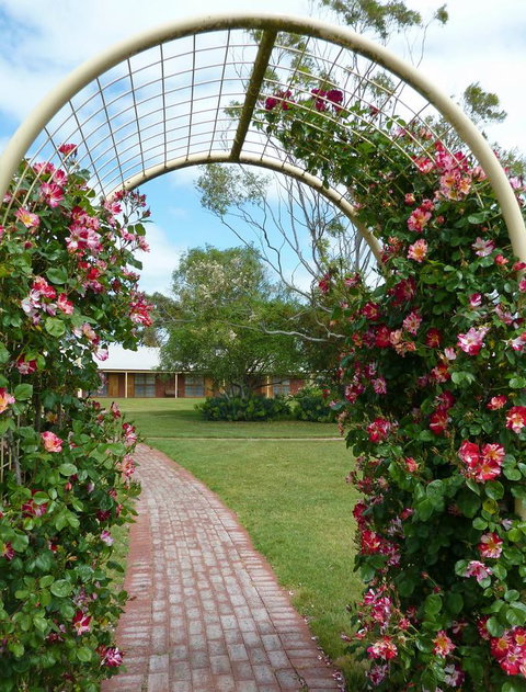 Coonawarra Place Motor Inn - Accommodation Asia 20