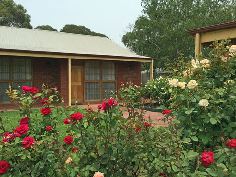 Coonawarra Place Motor Inn - Accommodation Asia 24