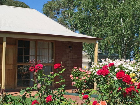 Coonawarra Place Motor Inn - Accommodation Asia 35