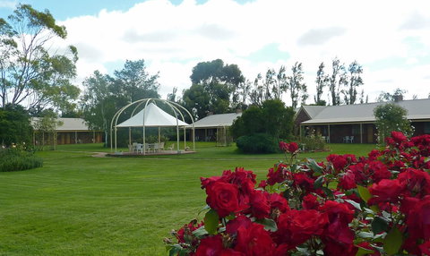 Coonawarra Place Motor Inn - Accommodation Asia 9