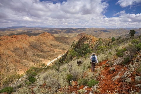 Arkaroola Wilderness Sanctuary - Accommodation Asia 4