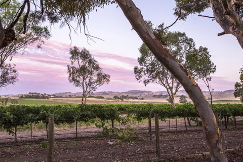 Jasmine\'s Barossa Valley Cottage - Accommodation Guide 19