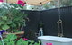 Jasmine\'s Barossa Valley Cottage - thumb 9