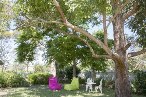 Jasmine\'s Barossa Valley Cottage - Accommodation Guide 18