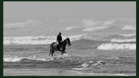 Gumnut Getaway BnB - Accommodation Asia 19