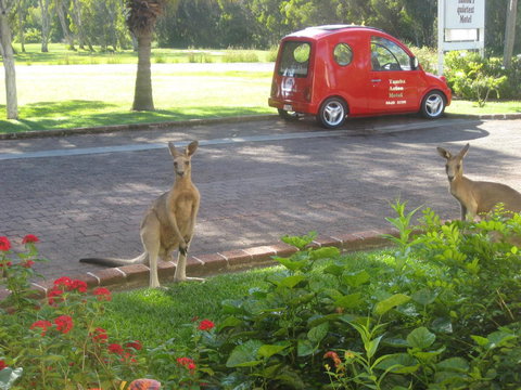 Aston Motel Yamba - Accommodation Asia 6