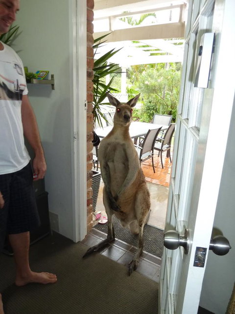 Aston Motel Yamba - Accommodation Asia 10