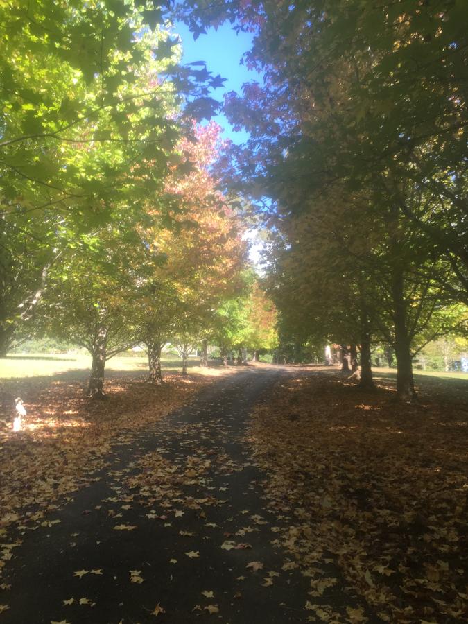 Bonville NSW Accommodation Asia