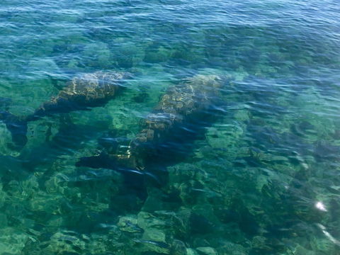 Escape 2 Exmouth - Accommodation Asia 28