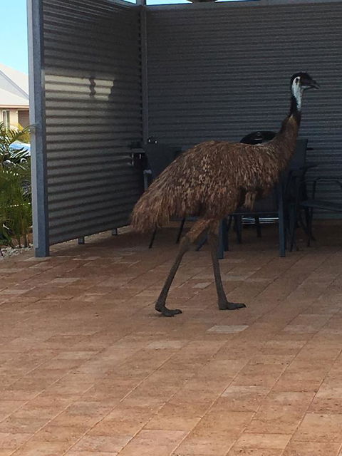 Escape 2 Exmouth - Accommodation Asia 15