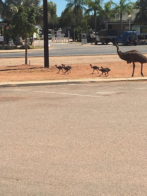 Escape 2 Exmouth - Accommodation Asia 29