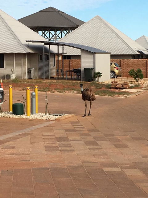 Escape 2 Exmouth - Accommodation Asia 16