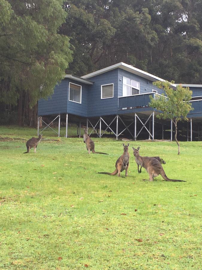 William Bay WA Accommodation Asia