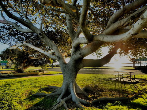 Lazy Lobster Holiday Units & Chalets - Accommodation Asia 34