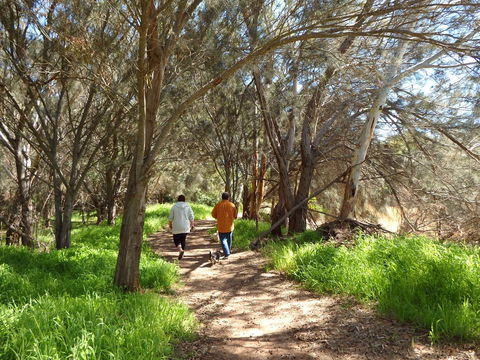 Lazy Lobster Holiday Units & Chalets - Accommodation Asia 26