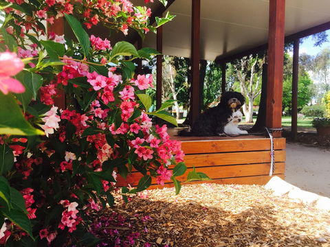 Armidale Tourist Park - Accommodation China 34