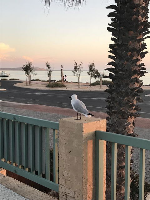 Shark Bay Seafront Apartments - Accommodation Asia 0