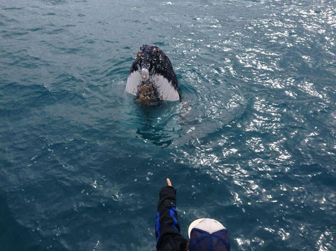 Number 72 Kalbarri Riverview Apartments - Accommodation Asia 11