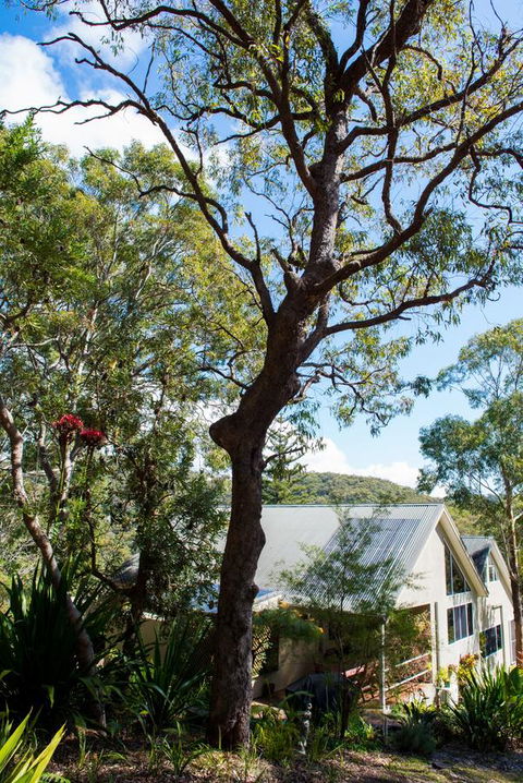 Nelson Bay Bed & Breakfast - Accommodation Asia 42