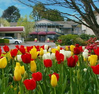 Nesuto Leura Gardens formerly Waldorf Leura Gardens Resort - Accommodation Asia