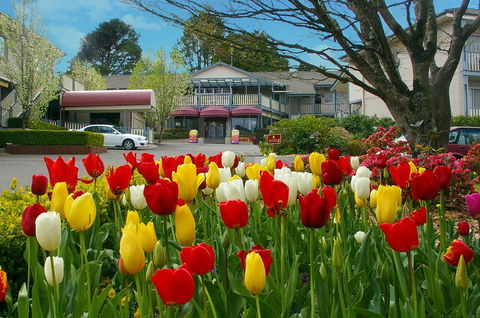 Nesuto Leura Gardens (formerly Waldorf Leura Gardens Resort) - Accommodation Asia 0