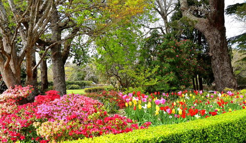 Nesuto Leura Gardens (formerly Waldorf Leura Gardens Resort) - Accommodation Asia 8