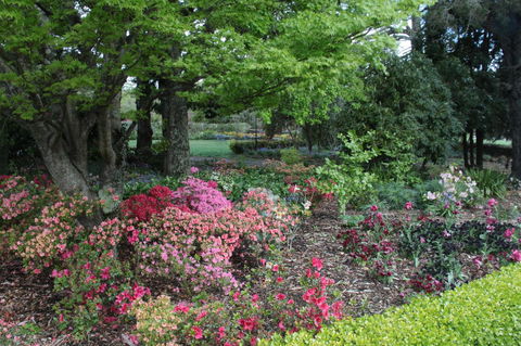 Nesuto Leura Gardens (formerly Waldorf Leura Gardens Resort) - Accommodation Asia 2