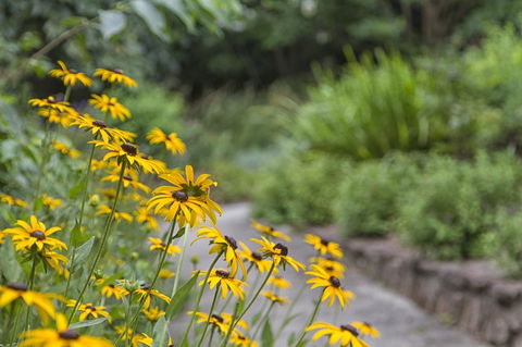 Nesuto Leura Gardens (formerly Waldorf Leura Gardens Resort) - Accommodation Asia 16