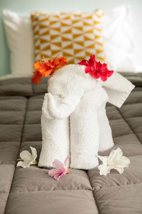 Kempsey Rose Motor Inn - Accommodation Asia 17