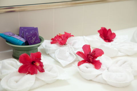 Kempsey Rose Motor Inn - Accommodation Asia 14