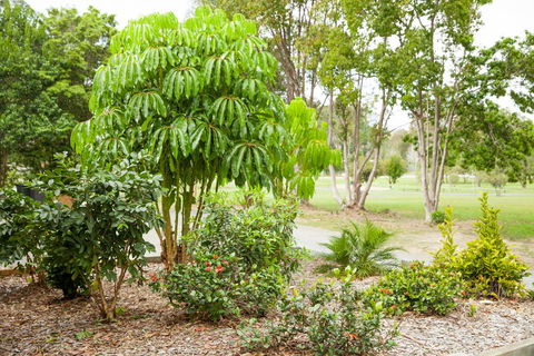Kempsey Rose Motor Inn - Accommodation Asia 42