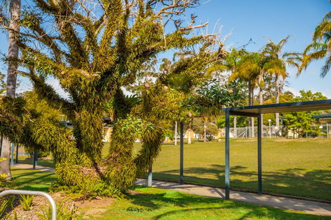 Kempsey Rose Motor Inn - Accommodation Asia 41